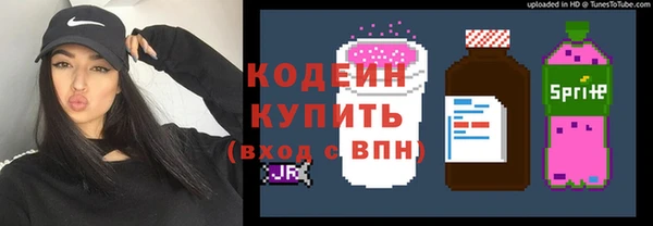 не бодяженный Арсеньев