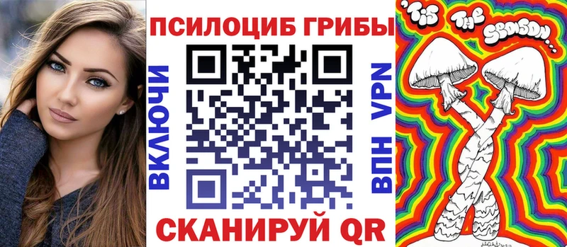 где можно купить наркотик Баксан Псилоцибиновые грибы ЛСД